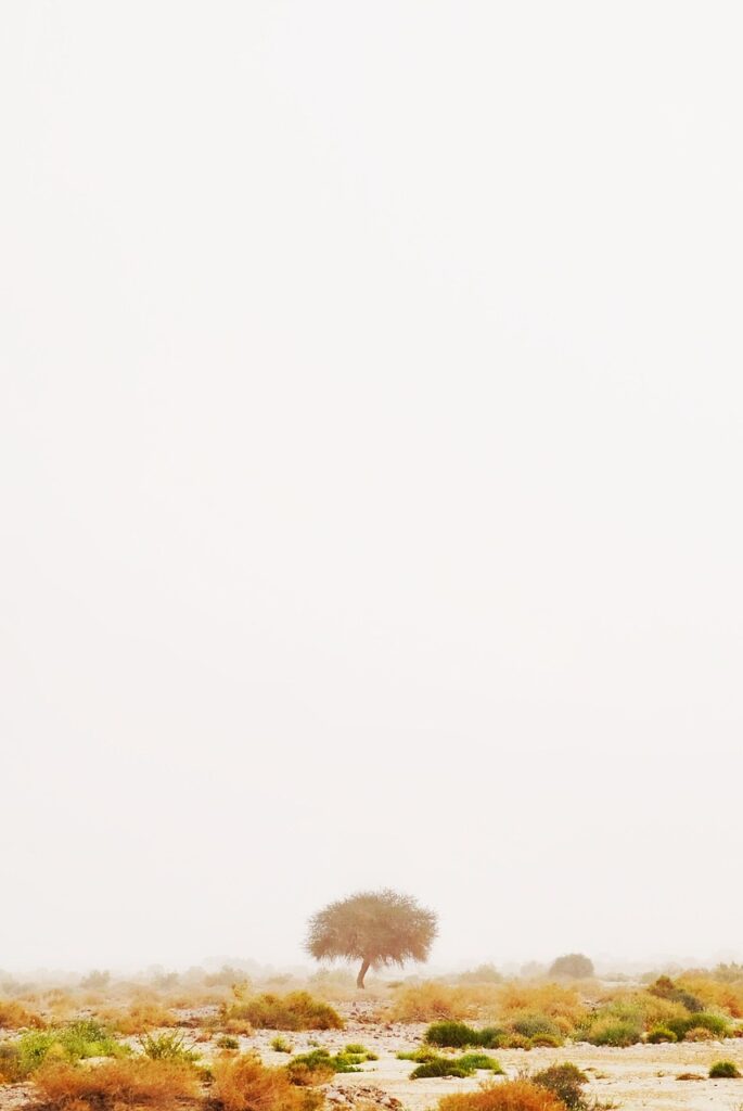 不労所得を月5万得るための具体的な方法は？