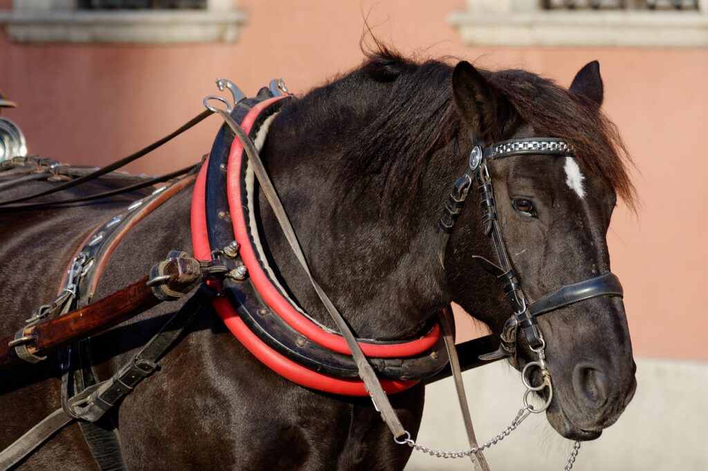 空き家利用に伴うリスクとは何か？