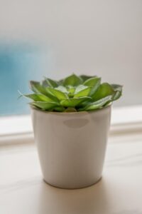 新築物件と中古物件の投資比較で知っておくべきポイントは？