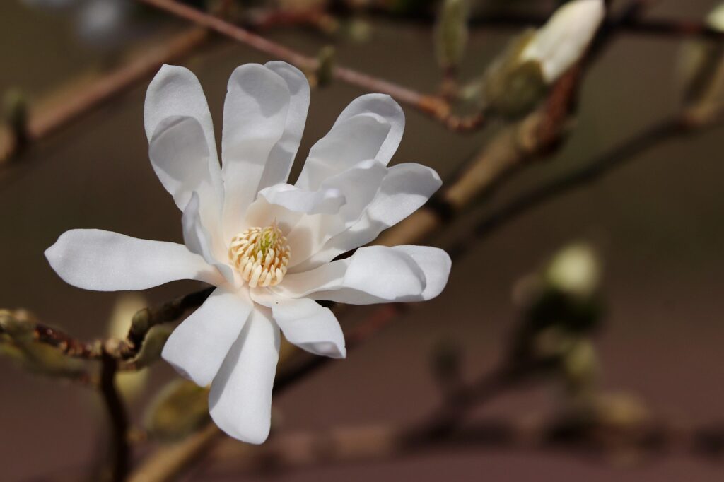 賃貸用投資物件とはどのようなものですか？