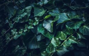 空き家の利活用にはどんなメリットがあるのか？