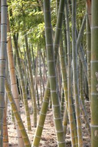 一棟マンションと区分マンションの投資比較でどちらが得なのか？