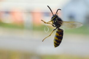 不動産取得税を活用した副収入の得方は？