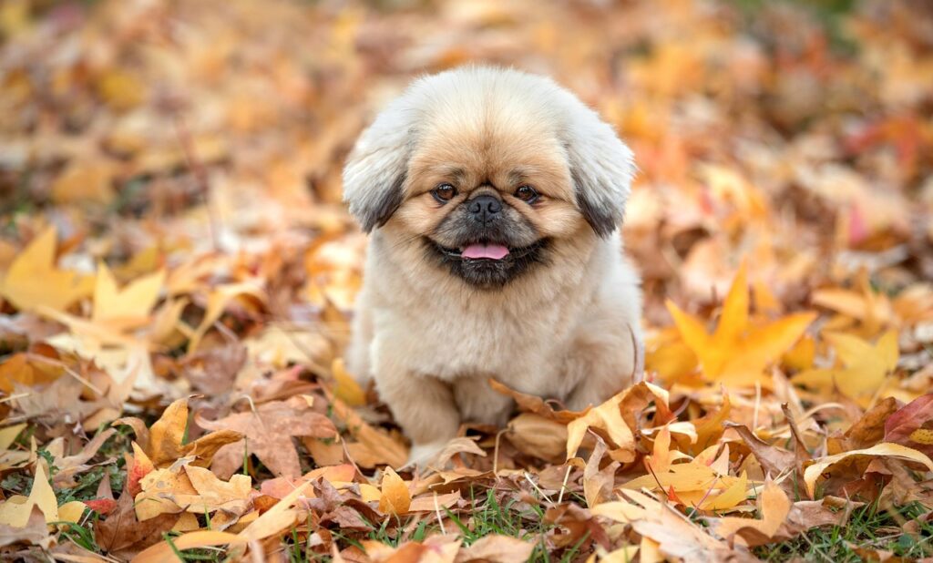 中長期レンタルの需要が高まる理由とは？